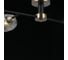 Потолочная люстра ILLUMICO IL0285-4CSQ-79 BK AB 5