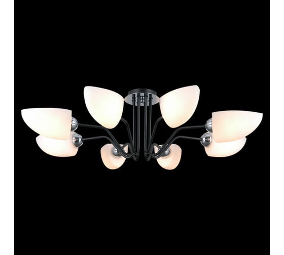 Потолочная люстра ILLUMICO IL0448-8CSQ-79 BK 1