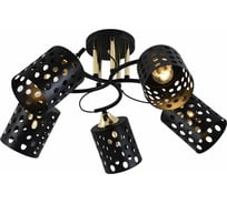 Потолочная люстра ReLuce 01385-0.3-05 BK+FGD