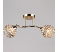 Потолочный светильник Reluce 04729-0.3-02