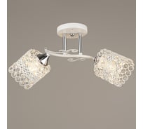 Потолочный светильник Reluce 04081-0.3-02