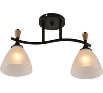 Потолочный светильник Reluce 01589-3.3-02B BK+WOOD