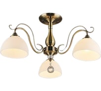 Потолочный светильник Reluce 00772-0.3-03