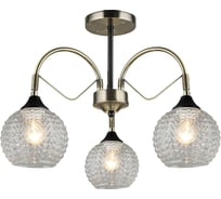 Потолочный светильник Reluce 02026-0.3-03 AB+BK