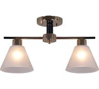 Потолочный светильник Reluce 09112-3.3-02 FG+BK