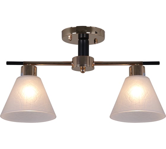 Потолочный светильник Reluce 09112-3.3-02 FG+BK 1