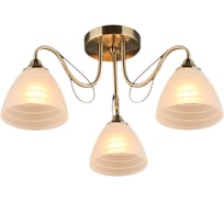 Потолочный светильник Reluce 03078-0.3-03