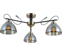 Потолочный светильник ILLUMICO IL0251-3CSQ-79 BK AB