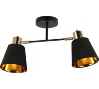Потолочный светильник ILLUMICO IL6116-2COU-79 BK GD Abelie