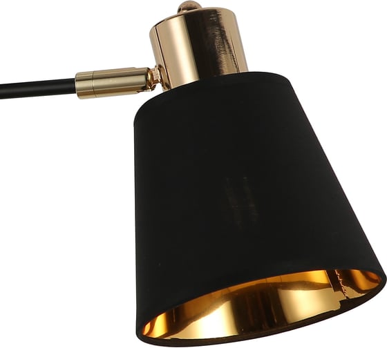Потолочный светильник ILLUMICO IL6116-2COU-79 BK GD Abelie