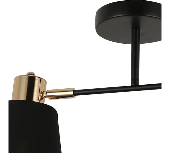 Потолочный светильник ILLUMICO IL6116-2COU-79 BK GD Abelie