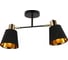 Потолочный светильник ILLUMICO IL6116-2COU-79 BK GD Abelie 1