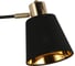 Потолочный светильник ILLUMICO IL6116-2COU-79 BK GD Abelie 2