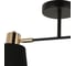 Потолочный светильник ILLUMICO IL6116-2COU-79 BK GD Abelie 3