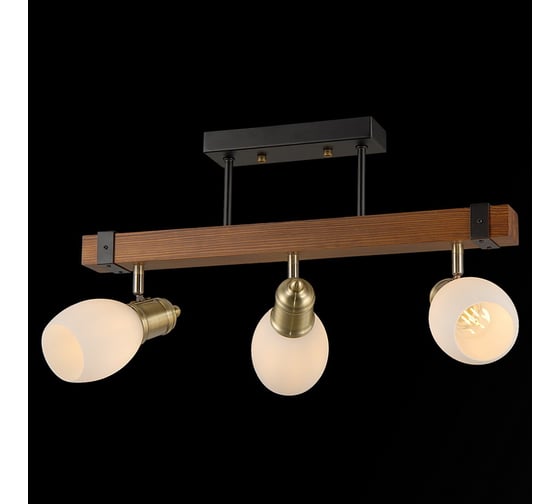 Потолочный светильник ILLUMICO IL9724-3CSQ-79 BK AB WD 1