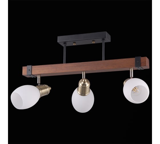 Потолочный светильник ILLUMICO IL9724-3CSQ-79 BK AB WD