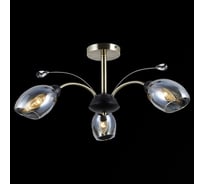 Потолочный светильник ILLUMICO IL9737-3CSQ-29 BK AB