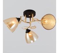Потолочная люстра ReLuce 01321-0.3-05 FGD+BK