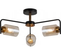 Потолочный светильник ILLUMICO IL8248-3COU-79 BK GD