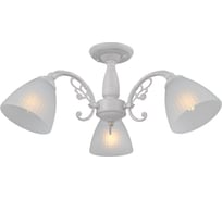Потолочный светильник ILLUMICO IL0232-3CSQ-24 SS SPICA