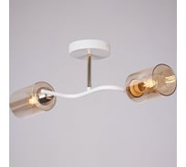 Потолочный светильник ILLUMICO IL8148-2COU-79 WH GD Bice