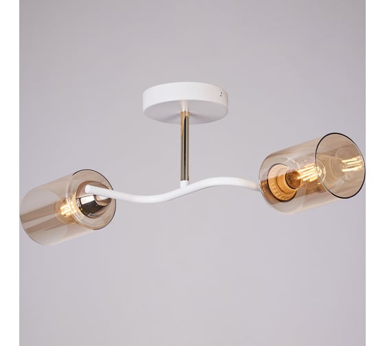 Потолочный светильник ILLUMICO IL8148-2COU-79 WH GD Bice 1