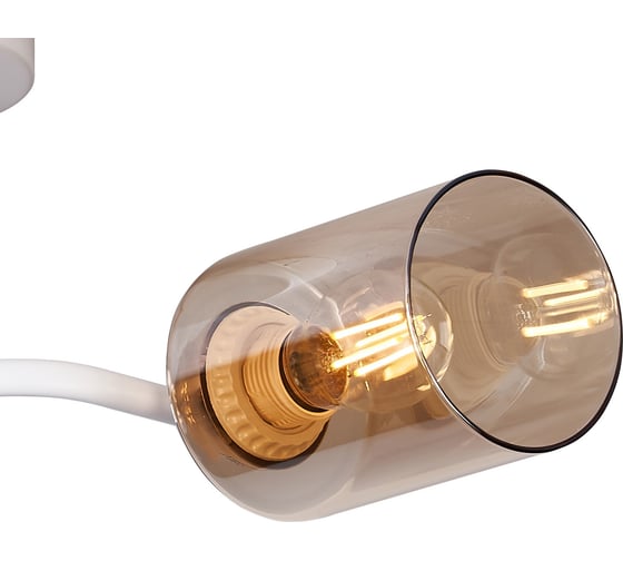 Потолочный светильник ILLUMICO IL8148-2COU-79 WH GD Bice