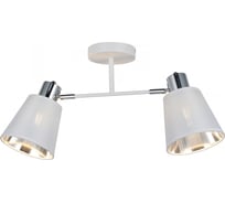 Потолочный светильник ILLUMICO IL6116-2COU-79 WH CR Abelie