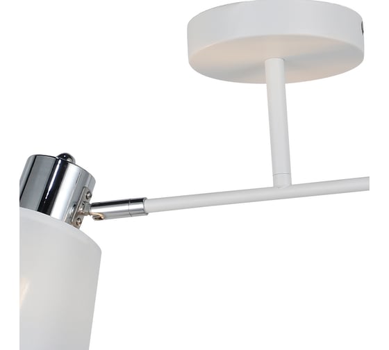 Потолочный светильник ILLUMICO IL6116-2COU-79 WH CR Abelie