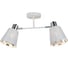 Потолочный светильник ILLUMICO IL6116-2COU-79 WH CR Abelie 1