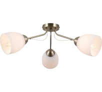 Потолочный светильник ILLUMICO IL0333-3CSQ-79 AB