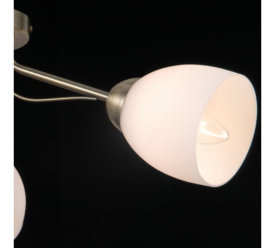 Потолочный светильник ILLUMICO IL0333-3CSQ-79 AB