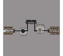 Потолочная люстра ReLuce 61719-0.3-04