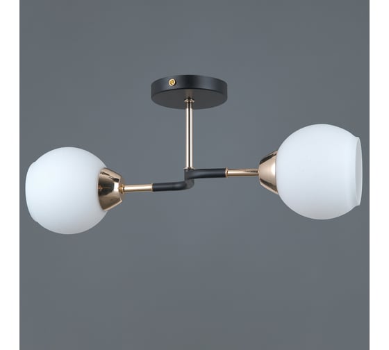 Потолочный светильник ILLUMICO IL0689-2CSQ-24 BK FGD LIBRA