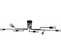 Потолочный светильник ILLUMICO IL2000-8C-05 BK