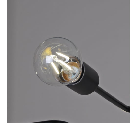 Потолочный светильник ILLUMICO IL2000-8C-05 BK