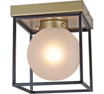 Потолочный светильник ILLUMICO IL0050-1C-79