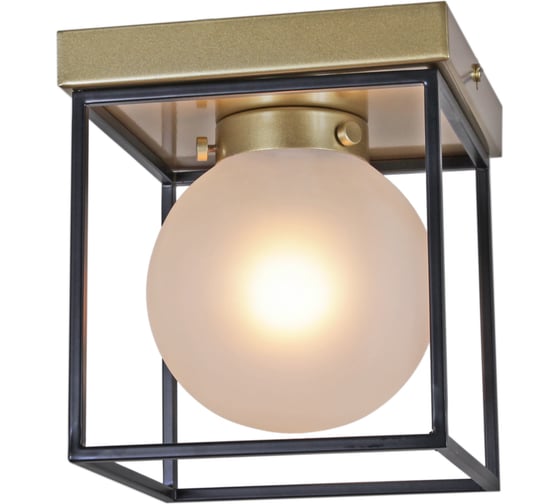 Потолочный светильник ILLUMICO IL0050-1C-79 1