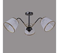 Потолочный светильник ILLUMICO IL0344-3CSQ-79 BK AB