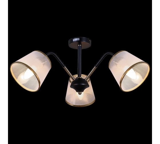Потолочный светильник ILLUMICO IL0344-3CSQ-79 BK AB