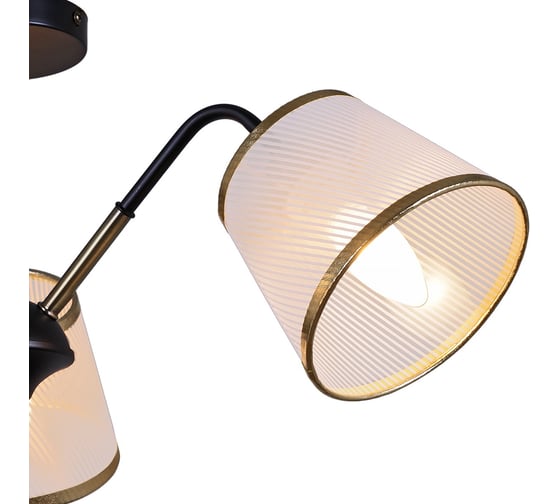 Потолочный светильник ILLUMICO IL0344-3CSQ-79 BK AB