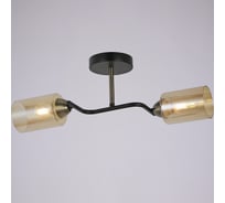 Потолочный светильник ILLUMICO IL8148-2COU-79 BK BR Bice