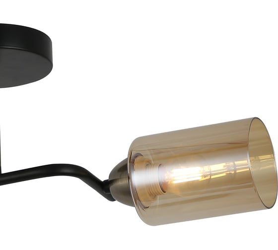 Потолочный светильник ILLUMICO IL8148-2COU-79 BK BR Bice