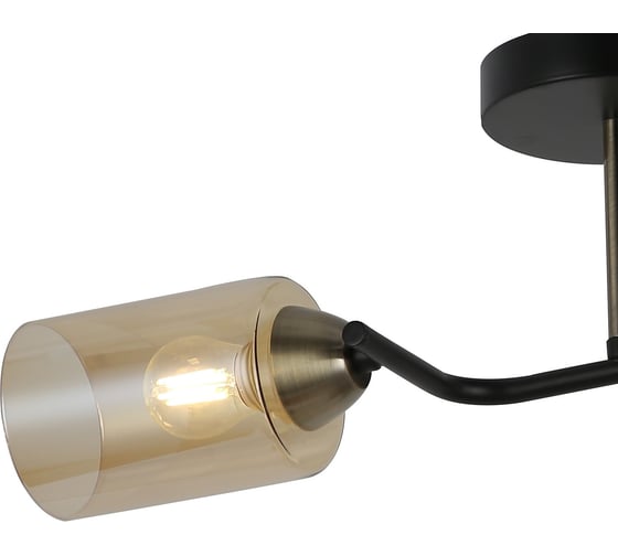 Потолочный светильник ILLUMICO IL8148-2COU-79 BK BR Bice