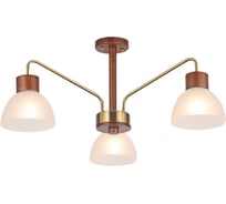 Потолочный светильник ILLUMICO IL0286-3C-79 BR