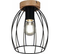 Потолочный светильник ILLUMICO IL1011-1C-05 BK