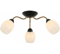 Потолочный светильник ILLUMICO IL8193-3COU-79 BK GD