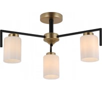 Потолочный светильник ILLUMICO IL8250-3COU-79 BK GD Dora