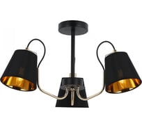 Потолочный светильник ILLUMICO IL6120-3COU-79 BK GD