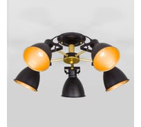 Потолочный светильник Eurosvet, 70112/5 черный a047637